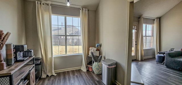 entryway featuring dark wood-type flooring