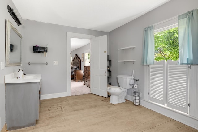 bathroom with hardwood / wood-style flooring, vanity, and toilet