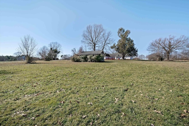 view of yard featuring a rural view