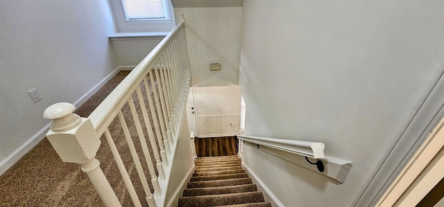 staircase featuring carpet flooring