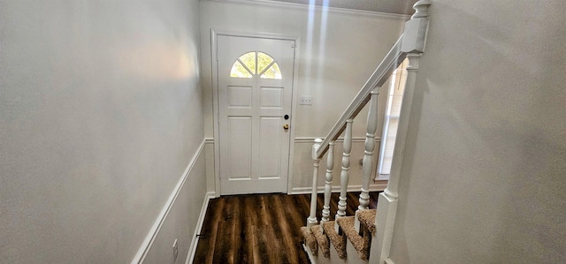 entryway featuring dark wood-type flooring