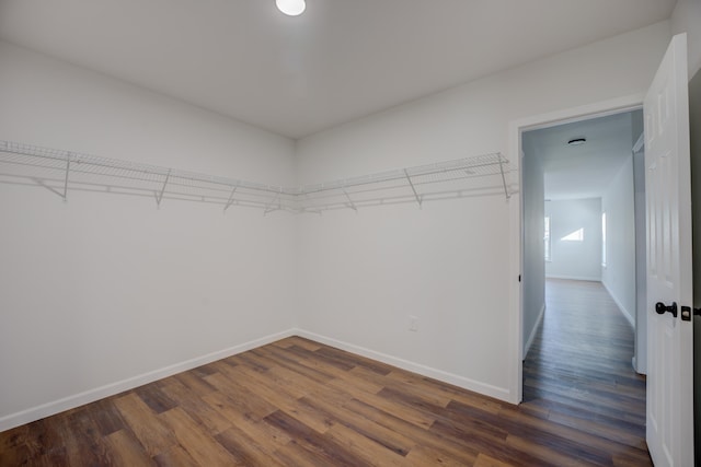 spacious closet featuring dark hardwood / wood-style flooring