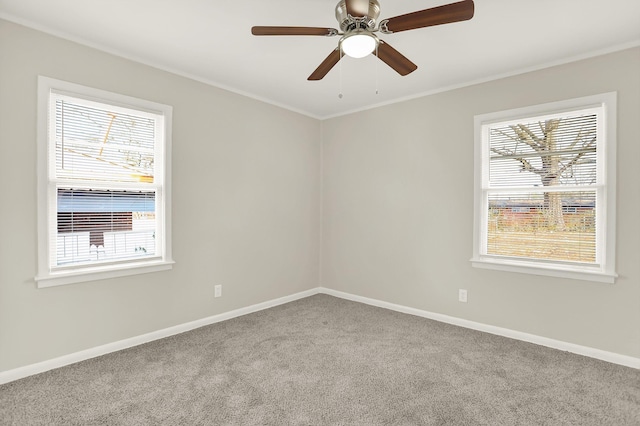 carpeted empty room featuring ornamental molding and ceiling fan