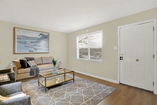 living room with hardwood / wood-style flooring