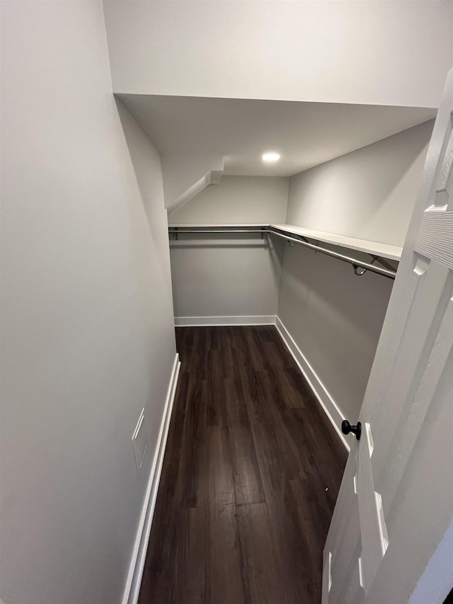 walk in closet with dark hardwood / wood-style flooring