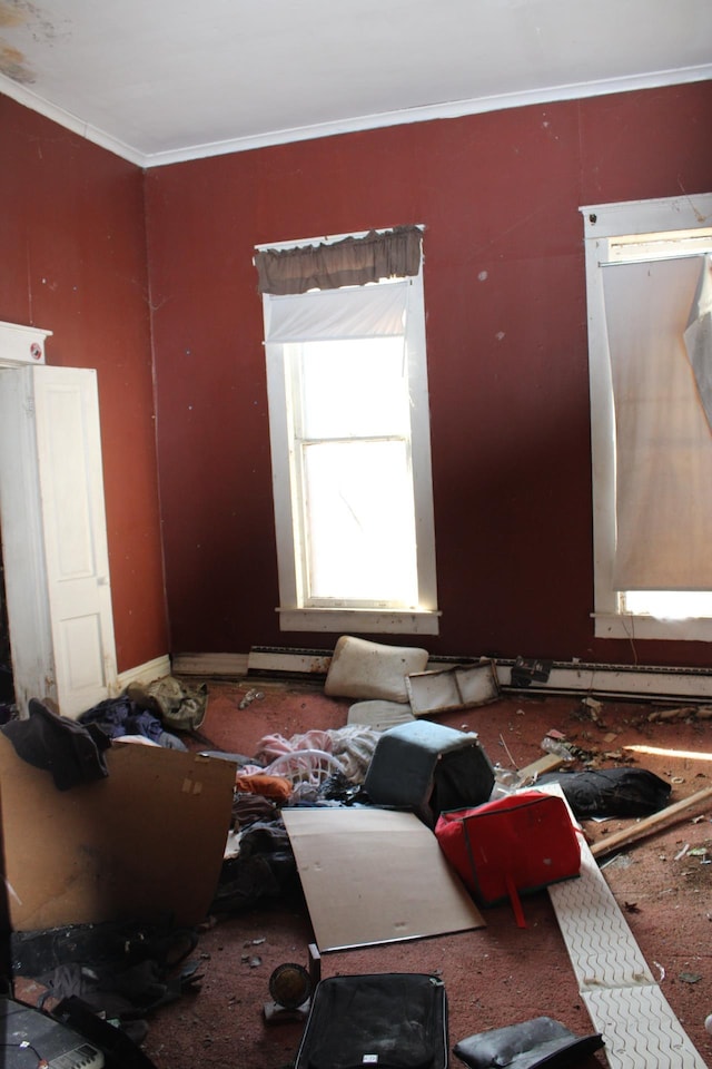 miscellaneous room featuring ornamental molding