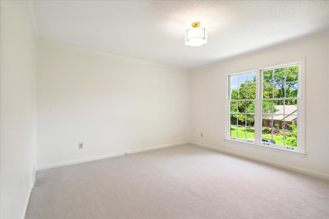 unfurnished room featuring carpet flooring and a textured ceiling