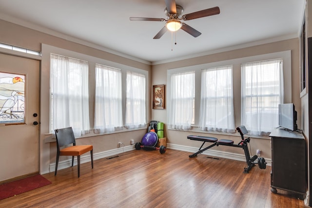 workout room featuring crown molding and a healthy amount of sunlight