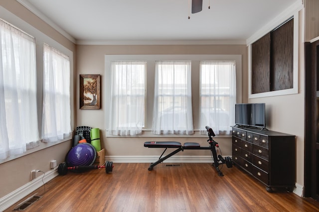 exercise area featuring crown molding, a wealth of natural light, dark hardwood / wood-style floors, and ceiling fan