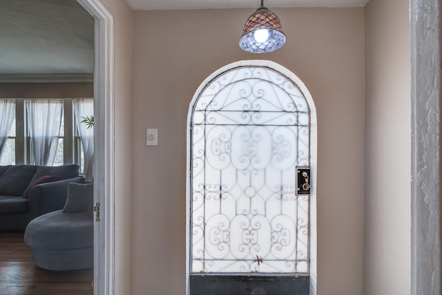 entrance foyer featuring dark wood-type flooring