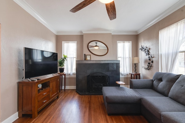 living room with ceiling fan, ornamental molding, and dark hardwood / wood-style flooring