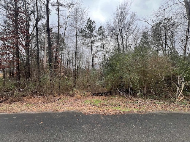 E Tulip St, Decaturville TN, 38329 land for sale