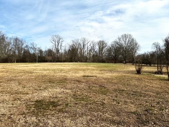 view of yard featuring a rural view