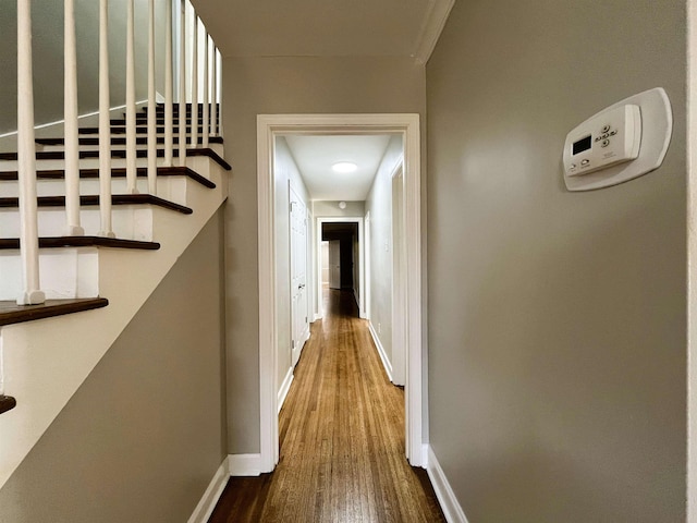 hall featuring hardwood / wood-style flooring