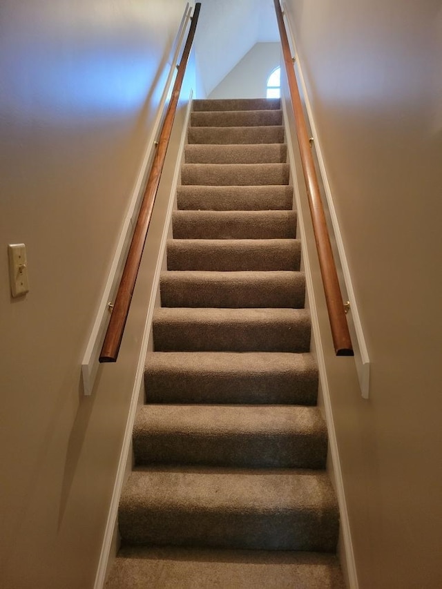 staircase with carpet floors