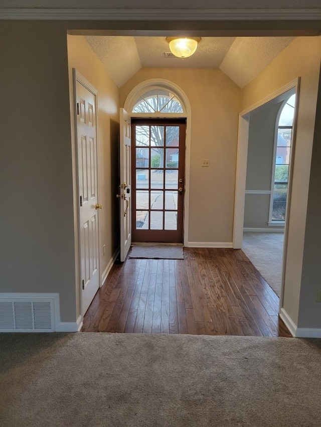 carpeted foyer with lofted ceiling, plenty of natural light, and a textured ceiling