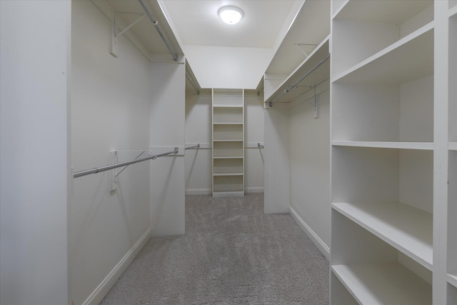 spacious closet featuring light carpet