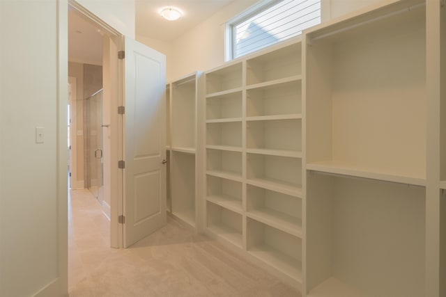 spacious closet featuring carpet