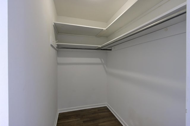 walk in closet featuring dark wood-type flooring