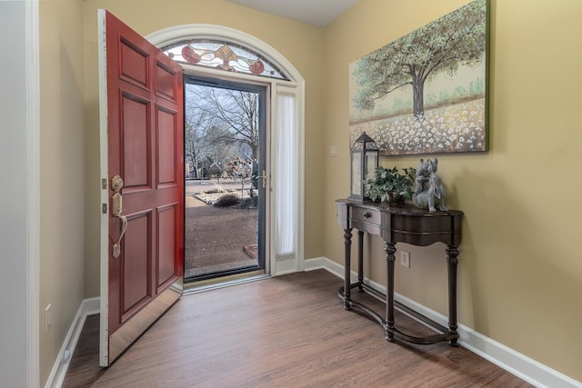 entryway featuring hardwood / wood-style flooring