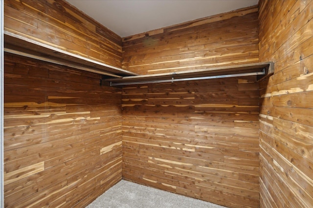 spacious closet featuring carpet flooring