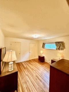 additional living space with light hardwood / wood-style floors