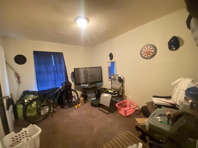 miscellaneous room featuring a textured ceiling and carpet flooring