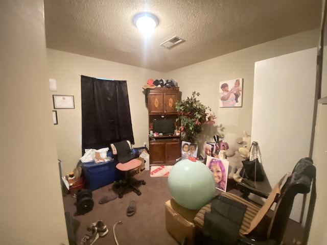 misc room with carpet floors and a textured ceiling