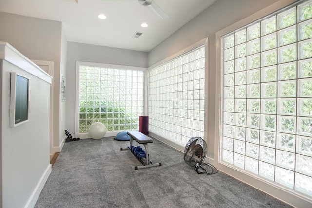 workout room with carpet flooring and a wealth of natural light