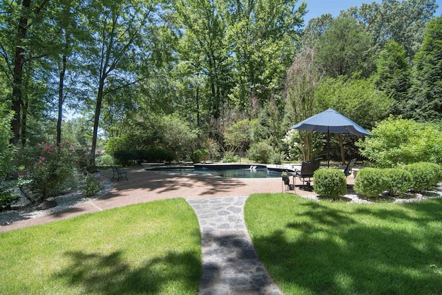 exterior space featuring a pool, a patio, and a lawn