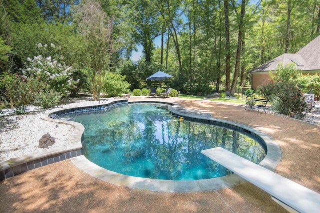 view of swimming pool with a patio area and a diving board