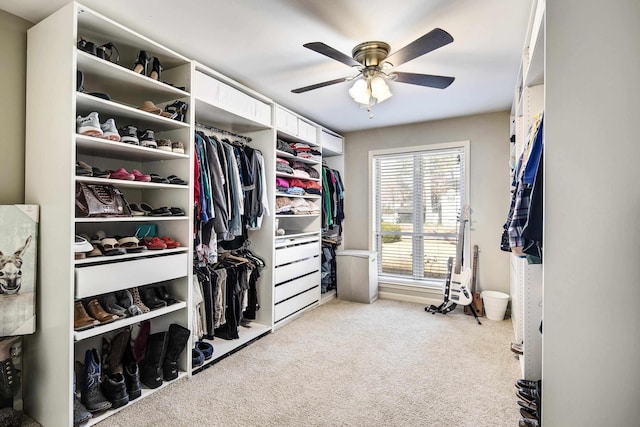 walk in closet featuring light carpet and ceiling fan