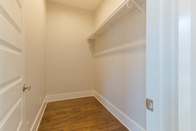 spacious closet featuring dark wood-type flooring