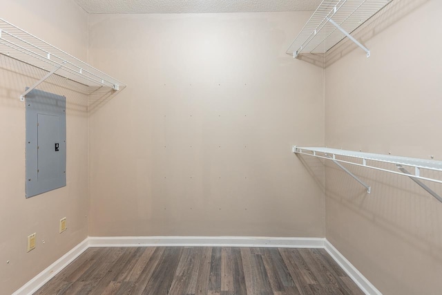 walk in closet with electric panel and hardwood / wood-style floors