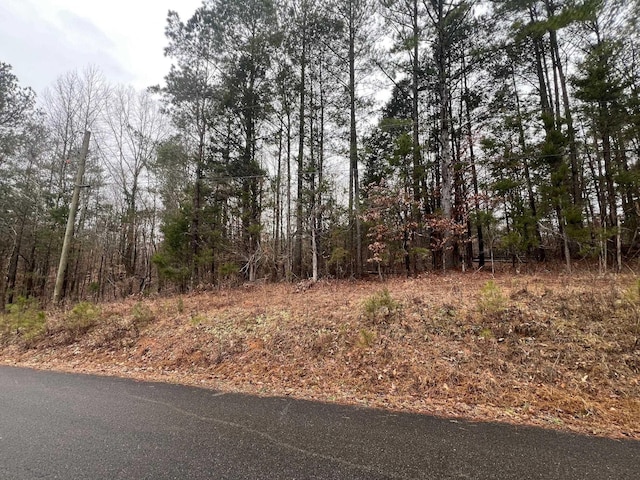 Listing photo 2 for 156 Iron Horse Trl, Parsons TN 38363