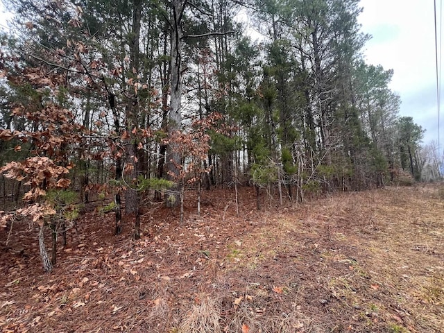 Listing photo 3 for 156 Iron Horse Trl, Parsons TN 38363