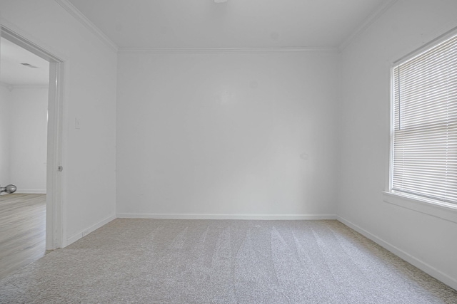 carpeted empty room with crown molding