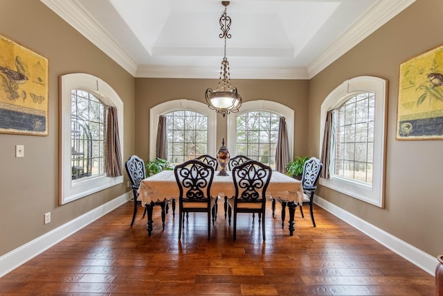 dining room featuring dark hardwood / wood-style floors and a tray ceiling