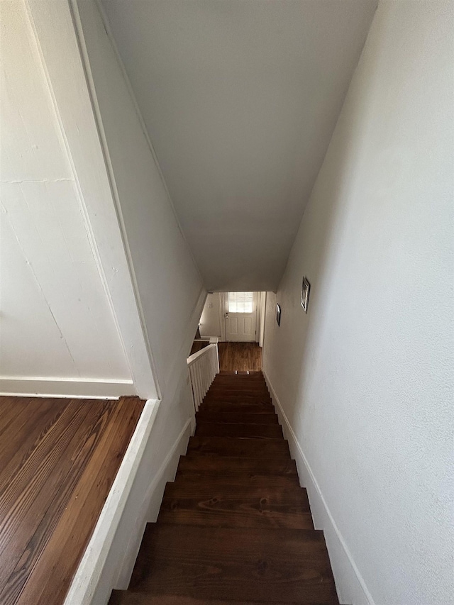 staircase featuring hardwood / wood-style flooring