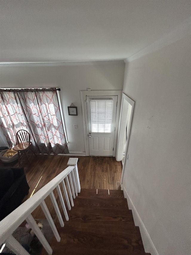 stairway featuring wood-type flooring