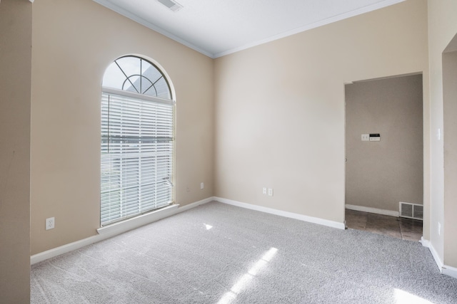 spare room featuring carpet floors and ornamental molding