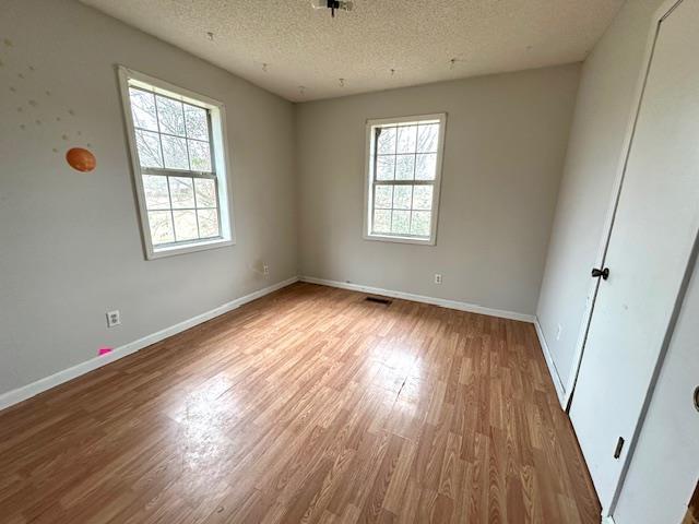 unfurnished room featuring a healthy amount of sunlight, light hardwood / wood-style flooring, and a textured ceiling