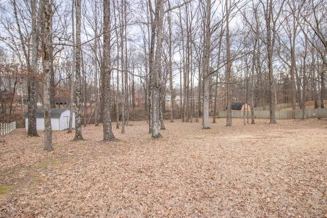 view of yard with a shed