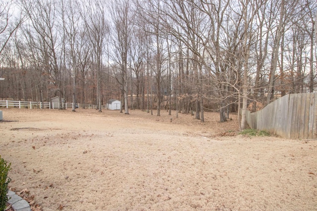 view of yard featuring a storage shed