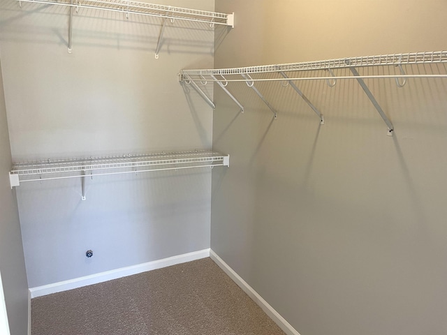 spacious closet with carpet floors