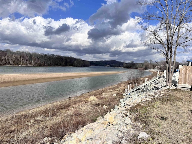 2687 Hardin Bottom River Rd, Clifton TN, 38425 land for sale