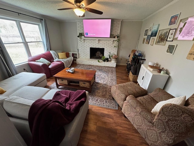 living room featuring crown molding, dark wood-type flooring, and a textured ceiling