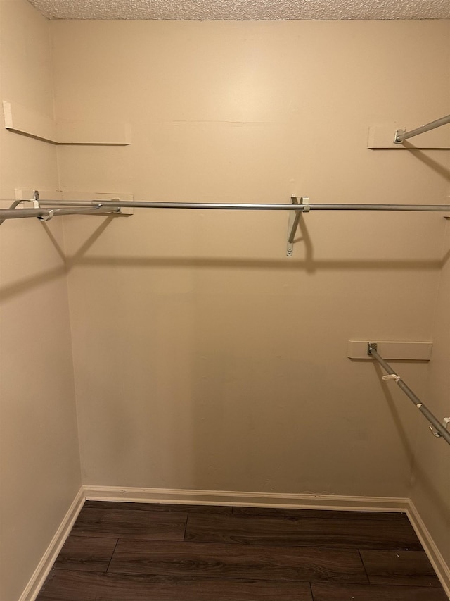 spacious closet featuring dark wood-type flooring