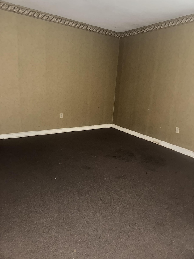 spare room with carpet