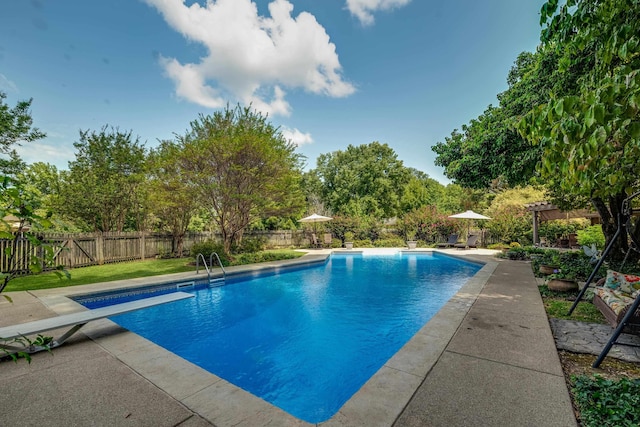 view of pool with a patio, a diving board, and a pergola